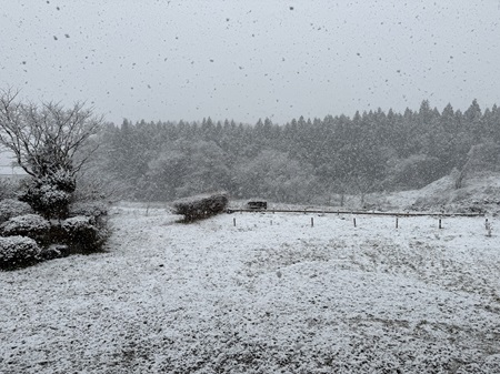 20240108前日朝雪.jpg