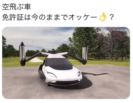 sky car.png