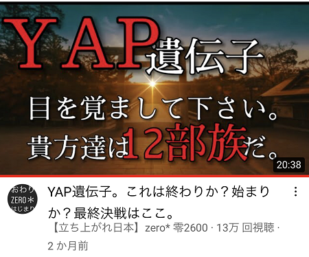YAP2.PNG