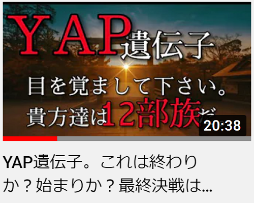 YAP遺伝子①.png